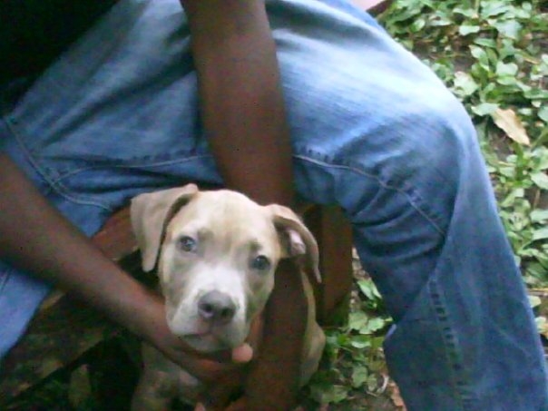 Date this happy United States man Big from detroit US4746