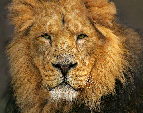 Date this nice looking United States man Vicmai from Bronx US5032