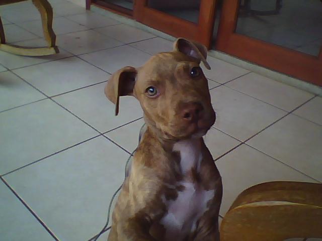 Date this stunning Colombia man Pochito from Cali CO7099
