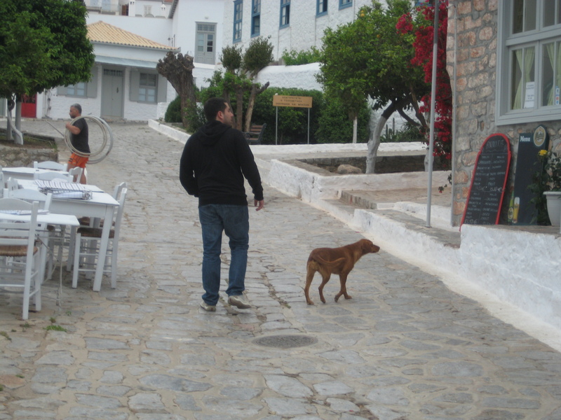 Date this happy Greece man Guessman from Athens GR39
