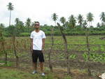 pretty Dominican Republic man Edwin from Santodomingo PT62